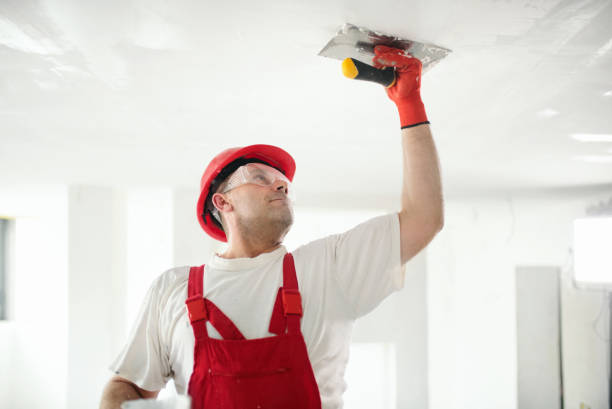 Best Water-Damaged Drywall Repair  in Clarendon Hls, IL